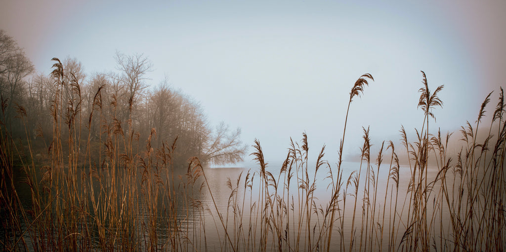Lake Welch Fog in Spring